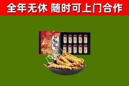 纳溪区烟酒回收冬虫夏草礼盒.jpg