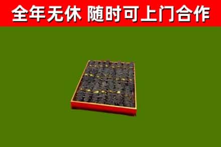 纳溪区回收海参